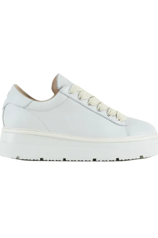 Sneakers in pelle